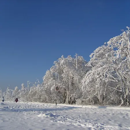 Pensjonat Landhaus Zum Sorpetal 3*