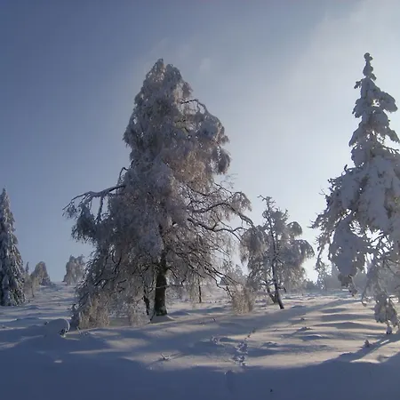 Landhaus Zum Sorpetal 3*