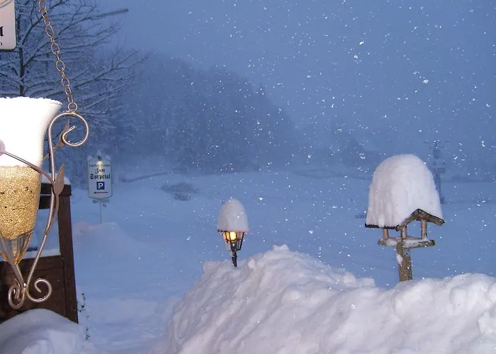 Pensjonat Landhaus Zum Sorpetal 3*