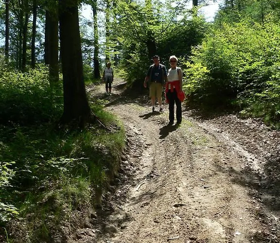 Landhaus Zum Sorpetal Pensjonat Schmallenberg
