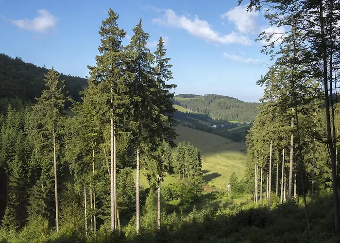 Pensjonat Landhaus Zum Sorpetal 3*