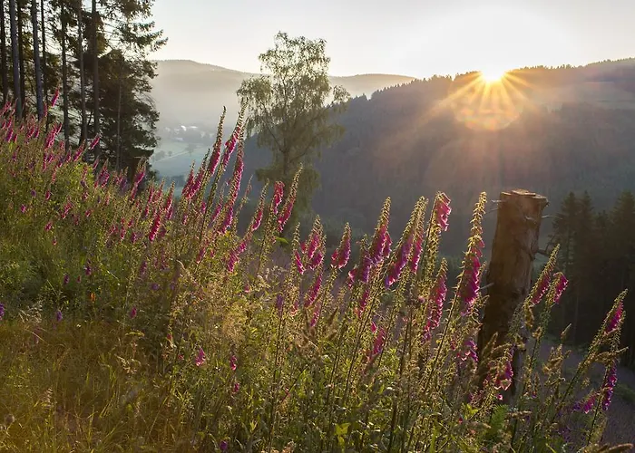 Landhaus Zum Sorpetal