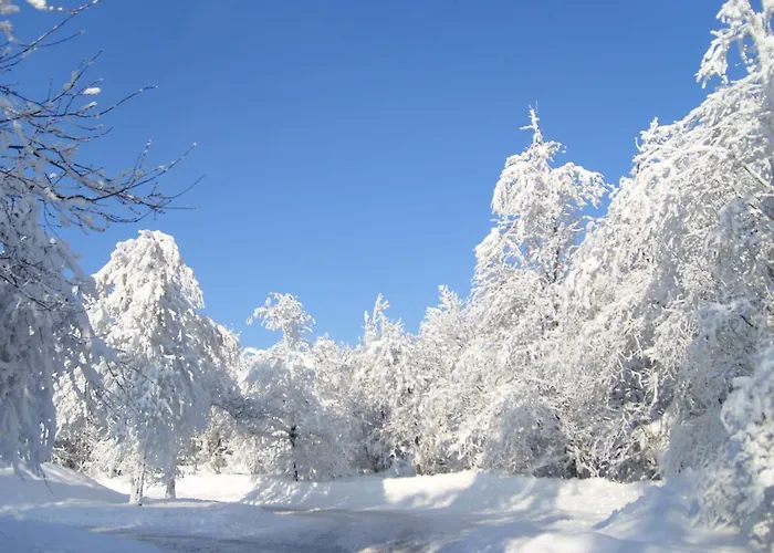 Pensjonat Landhaus Zum Sorpetal
