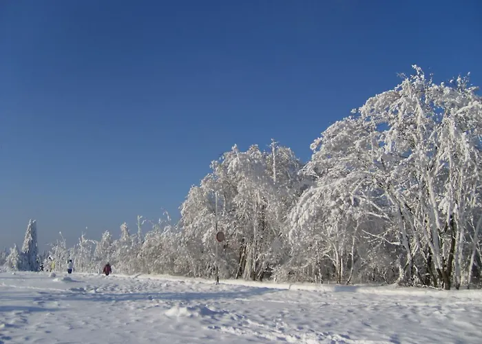 Pensjonat Landhaus Zum Sorpetal 3*