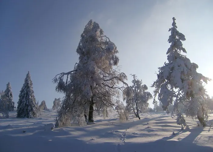 Landhaus Zum Sorpetal 3*