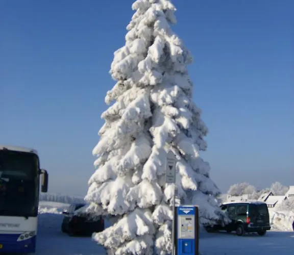 Landhaus Zum Sorpetal Pensjonat 3*