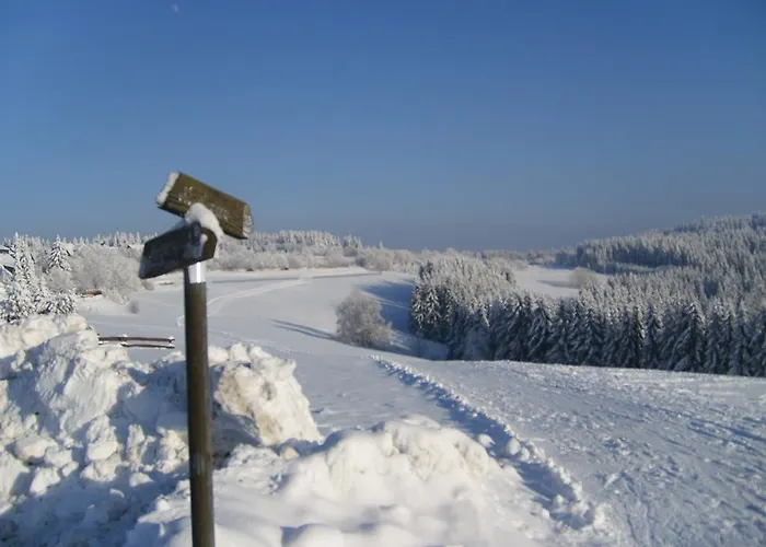Pensjonat Landhaus Zum Sorpetal Schmallenberg
