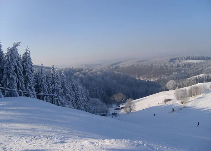 Landhaus Zum Sorpetal Pensjonat
