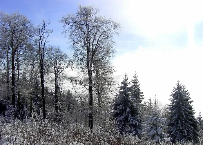 Landhaus Zum Sorpetal Pensjonat 3*