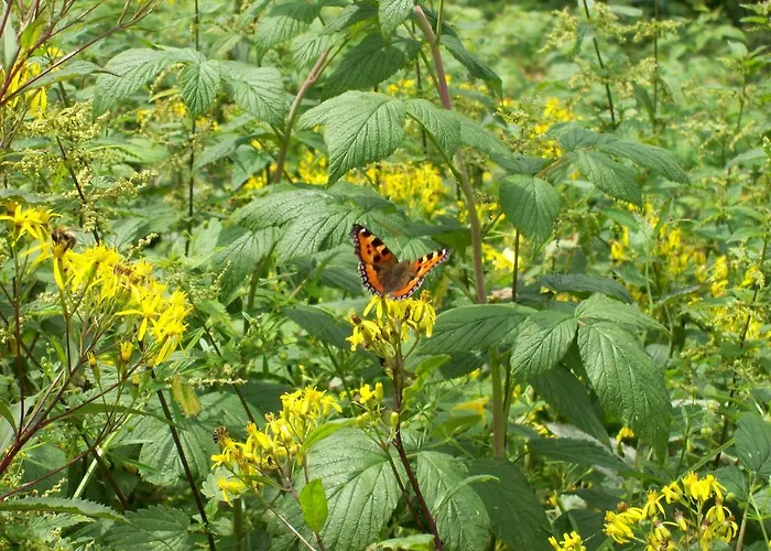 Pensjonat Landhaus Zum Sorpetal