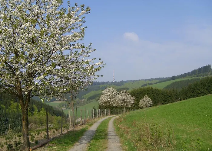 Landhaus Zum Sorpetal Pensjonat Schmallenberg