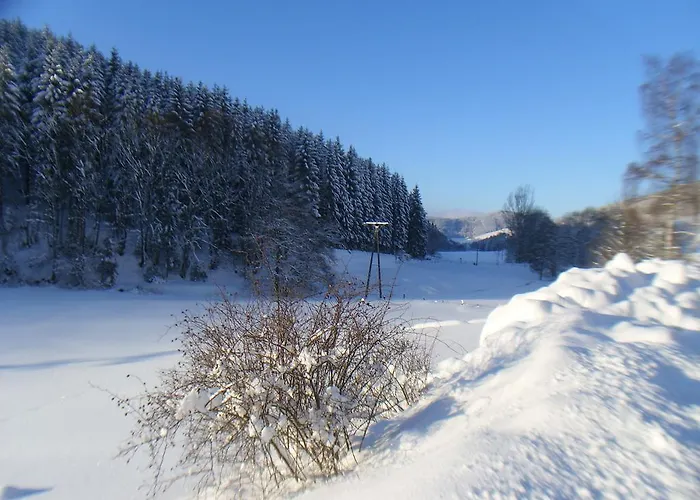 Landhaus Zum Sorpetal Pensjonat
