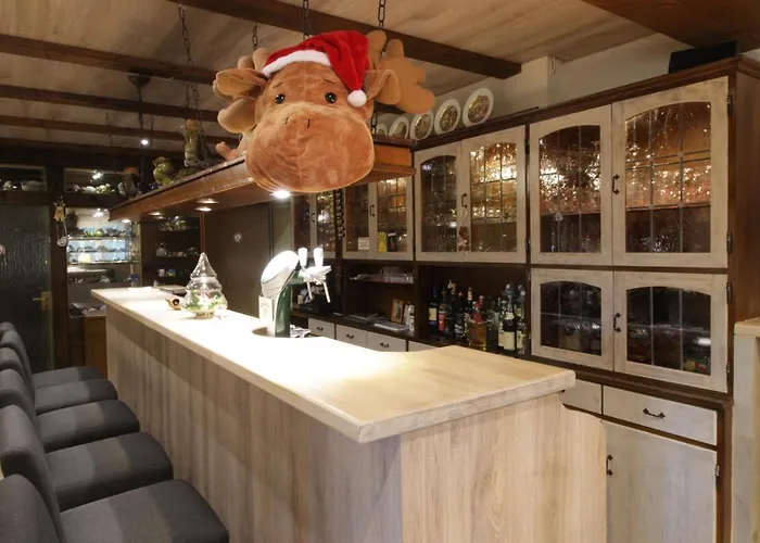 Landhaus Zum Sorpetal Pensjonat 3*