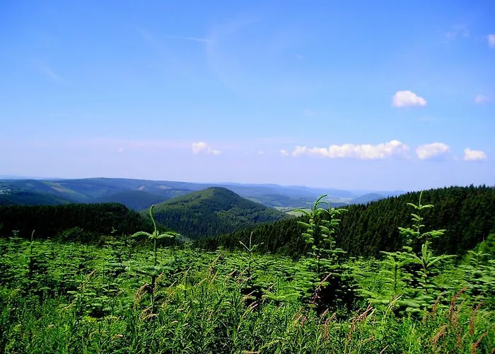 Landhaus Zum Sorpetal 3*