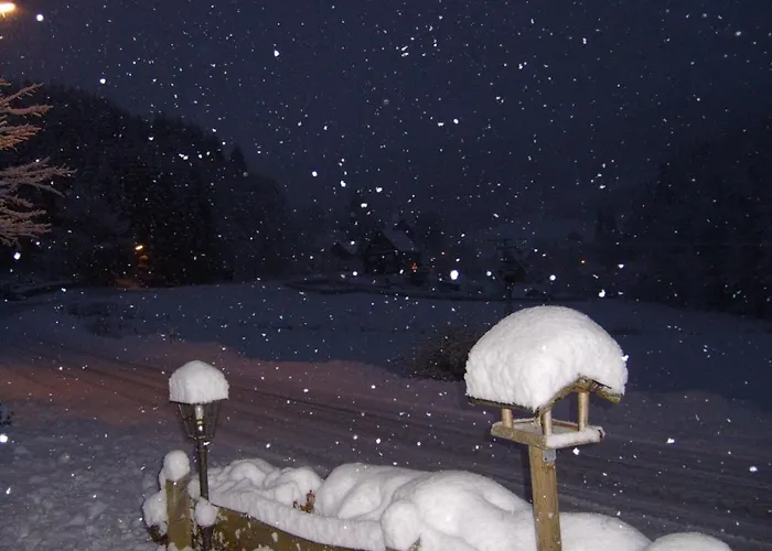 Pensjonat Landhaus Zum Sorpetal 3*