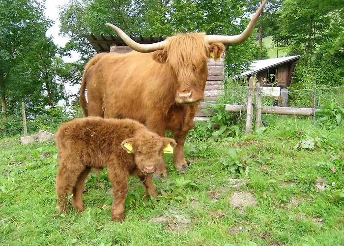 Landhaus Zum Sorpetal 3* Schmallenberg