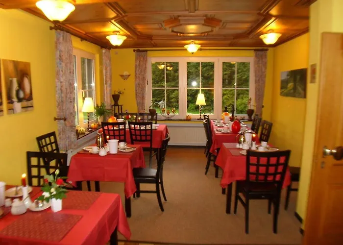 Landhaus Zum Sorpetal Pensjonat 3*