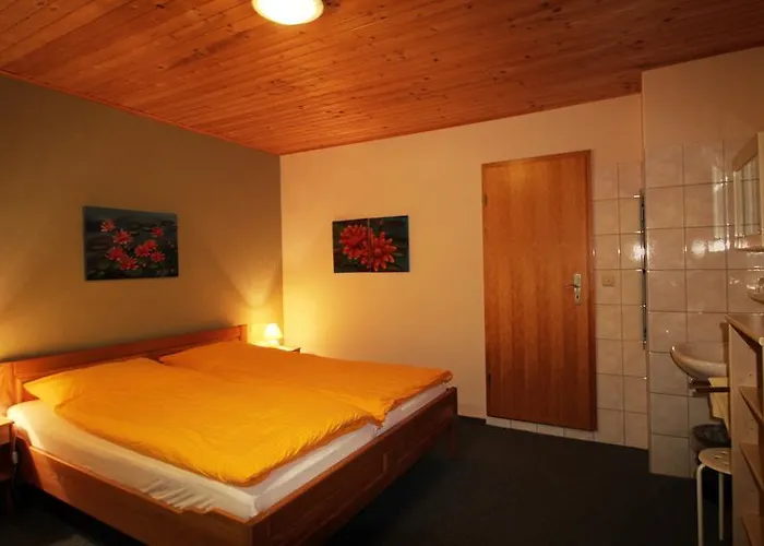 Landhaus Zum Sorpetal Pensjonat Schmallenberg