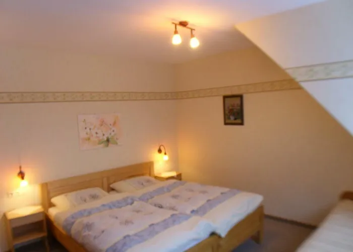 Landhaus Zum Sorpetal Pensjonat 3*